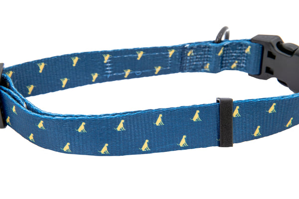PROF "Co-Pilot" Dog Collar